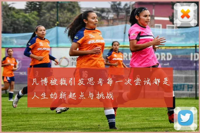 凡博被裁引发思考每一次尝试都是人生的新起点与挑战