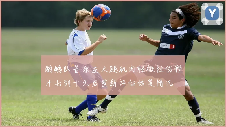 鹈鹕队普尔左大腿肌肉轻微拉伤预计七到十天后重新评估恢复情况